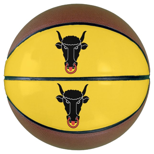 Fullsize Basketball with Flag of Uri Canton (Front)
