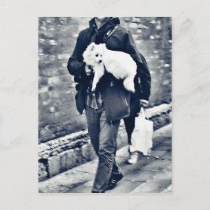 fullsizeoutput_c78 Black and White Pomeranian Postcard