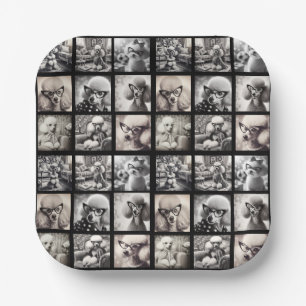Fun 9 Photo Collage Pictures Paper Plate