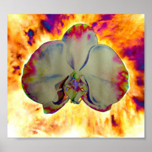 Fun abstract tropical floral surreal orchid poster