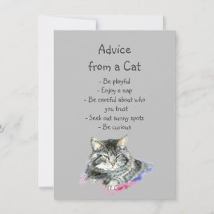 Fun Advice from a Cat Fun Animal Humour