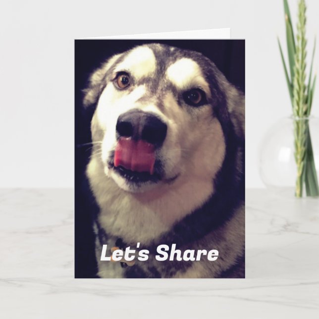 Fun Alaskan Malamute Cover Photograph Template (Front)