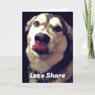 Fun Alaskan Malamute Cover Photograph Template