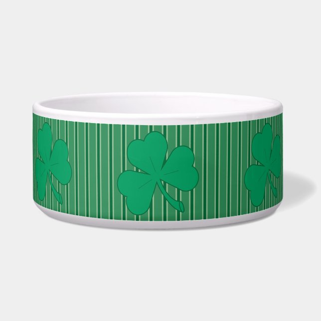 Fun and Fancy Shamrock (Front)