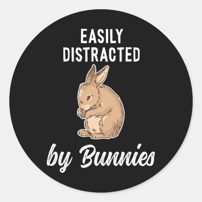 Fun And Happy Easter Bunny And Rabbit  Classic Round Sticker (Front)