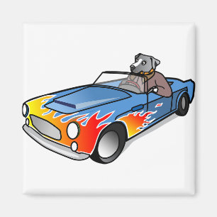Fun and humor, car character. magnet