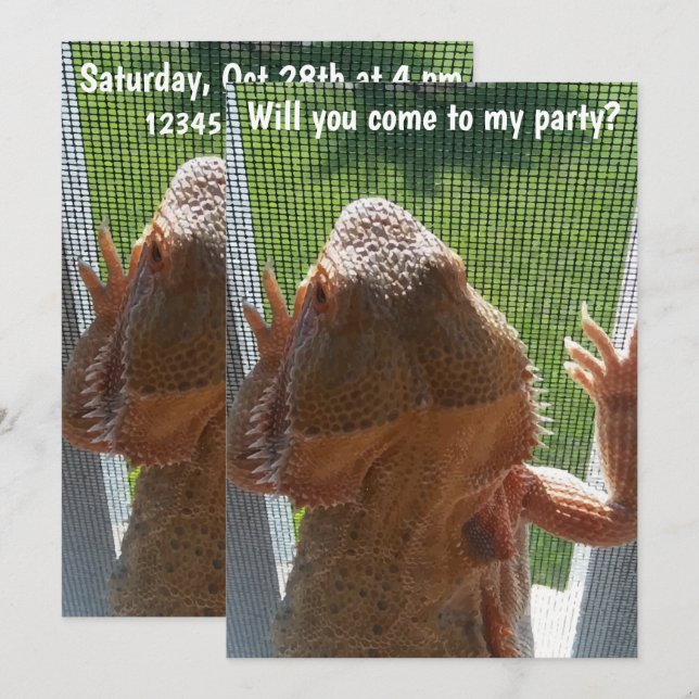 Fun Bearded Dragon Birthday Party Invitation (Front/Back)