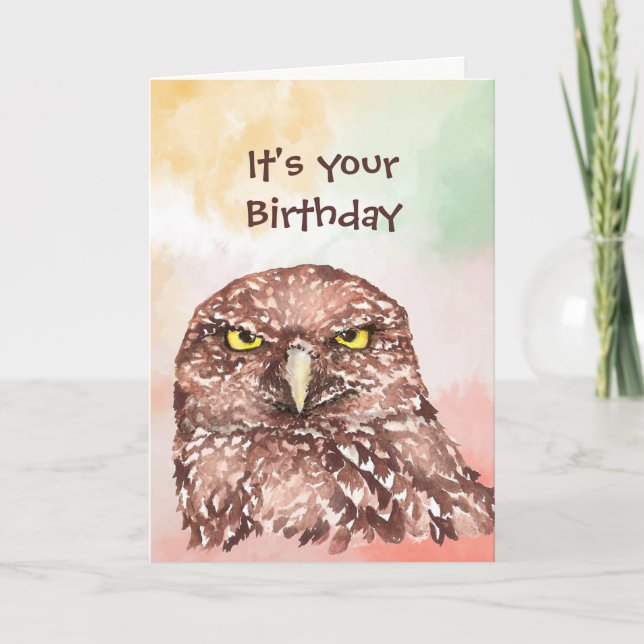 Fun Belated Birthday Sorry Owl Bird Animal Nature  Holiday Card (Front)