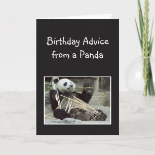 Fun Birthday Advice from Panda Bear Animal Humour Card