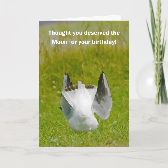 Fun Birthday Card - Mooning Seagull (Front)