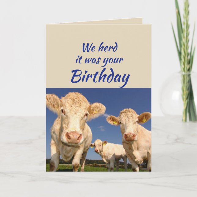 Fun Birthday From Us Cow Animal Humour Card (Front)