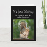 Fun Birthday Squirrel Feeder Nuts Question