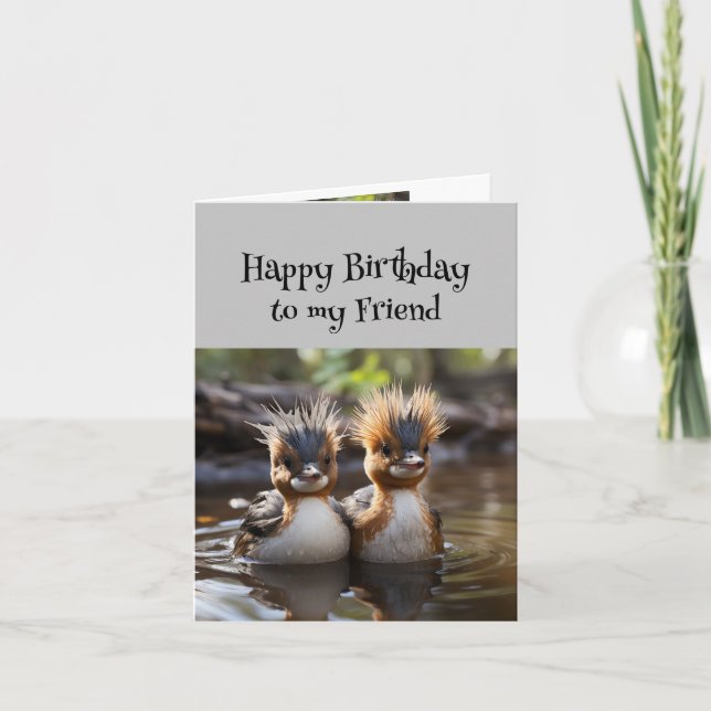 Fun Birthday Wonderful Friend Cute Birds Card (Front)