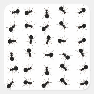 Fun Black Ant Bug Print Square Sticker