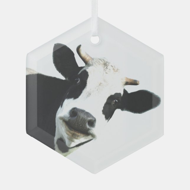 Fun Black White Cow Farm Animal Humour  Glass Tree Decoration (Front)