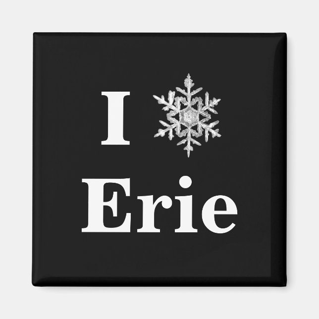 Fun Black & White I Snowflake City Winter Magnet (Front)