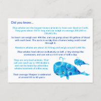 Fun Blue Whale Facts