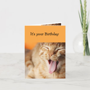 Fun Cake Frosting licking tongue Cat Animal Humour Card