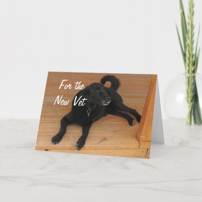 Fun Canine Vet Graduate Congratulations Graduation Card (Front)