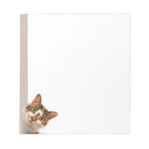 Fun Cat Kitten Looking at You Cute Animal Fun Notepad