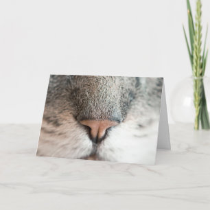 Fun Cat Lover Birthday Pun card