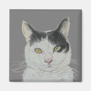 Fun cat magnet