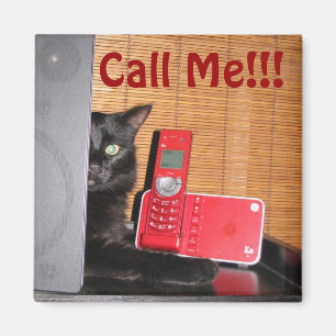 Fun Cat Magnet! Magnet