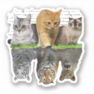 Fun Cat Reflection Gift Design Idea