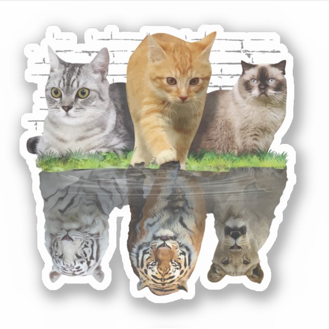 Fun Cat Reflection Gift Design Idea (Front)