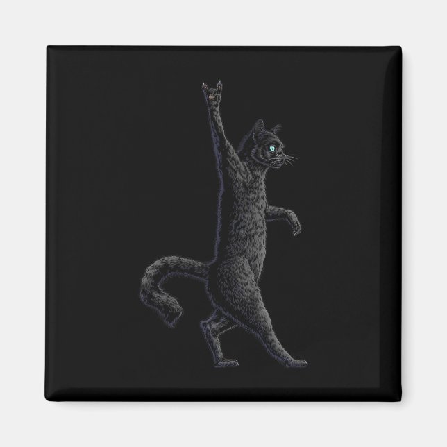 Fun Cat  Rock On Rock And Roll - Concert Band Tees Magnet (Front)