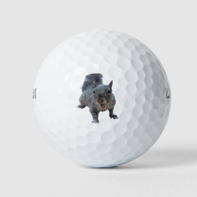 Fun Cheeky Squirrel Golf Balls (Front)