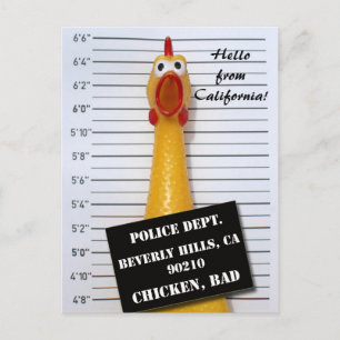 Fun Chicken Beverly Hills Mugshot Postcard! Postcard