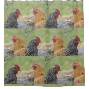Fun Chicken Shower Curtain