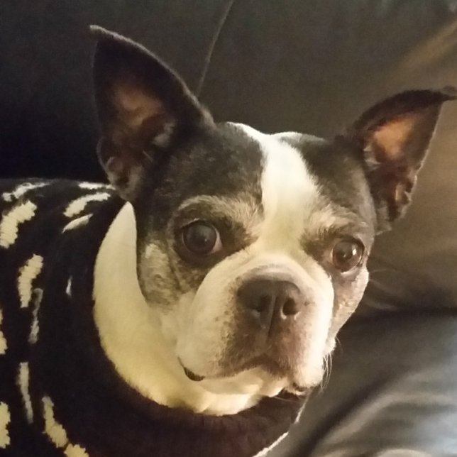 Fun Christian Childrens Biblical Puzzles (Creator Uploaded)