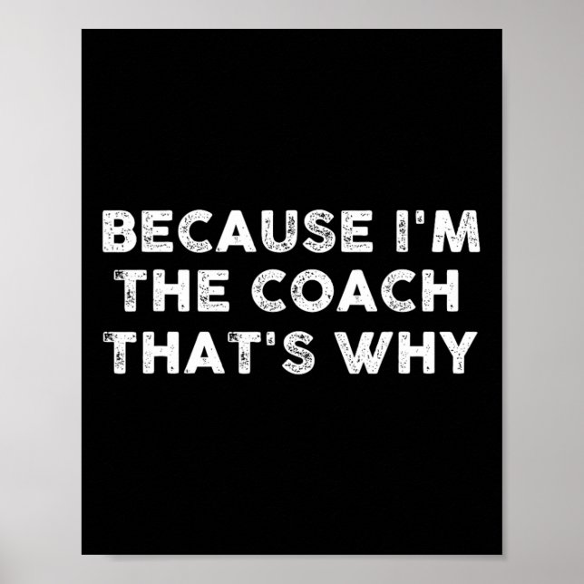 Fun Coach Sports Football Basketball Soccer Hockey Poster (Front)