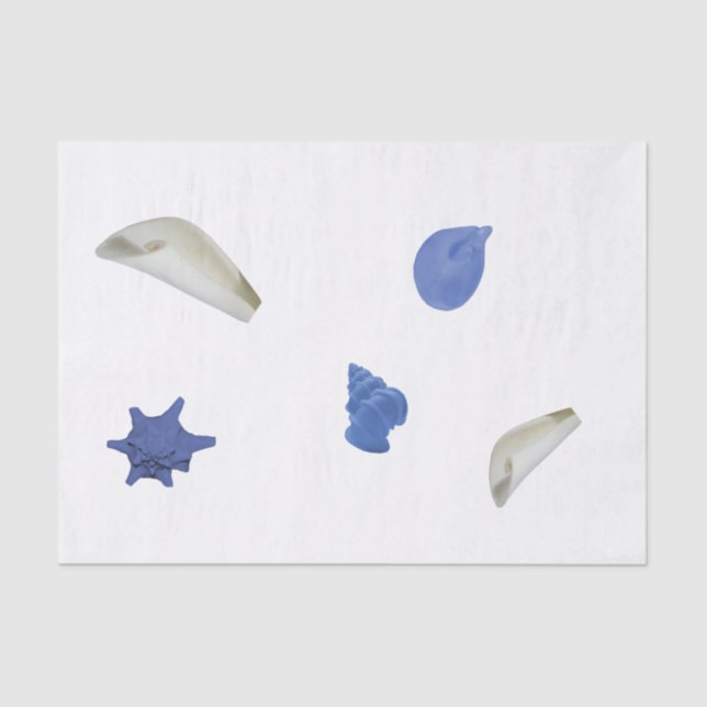 Fun coastal seashell blue 10lb Tissue Paper, White Tissue Paper (Front)