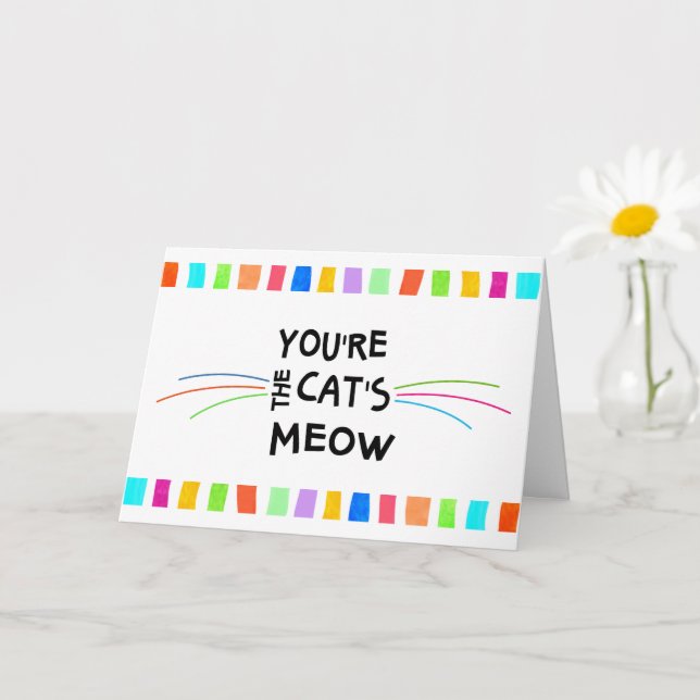 Fun Colour Blocks Cat's Meow Birthday Get Well Car Card (Small Plant)