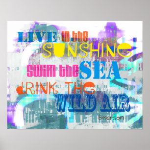 fun colourful poster live in the sunshine quote
