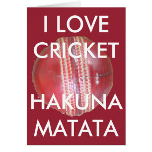 Fun Cricket Ball Design