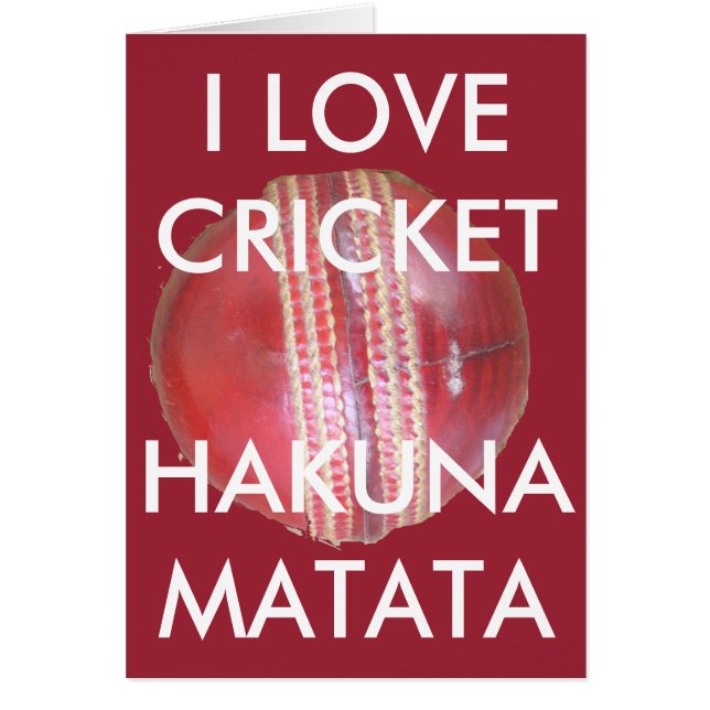 Fun Cricket Ball Design (Front)