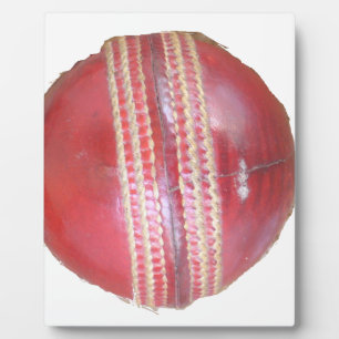 Fun Cricket Ball Design Plaque