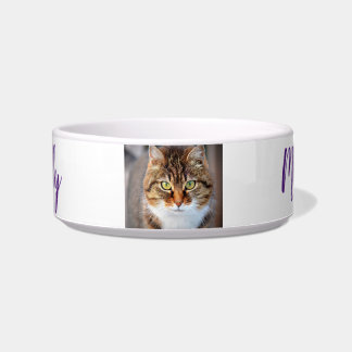 Fun custom add your favourite cat photo and name, bowl