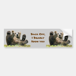Fun cute bears bumper sticker