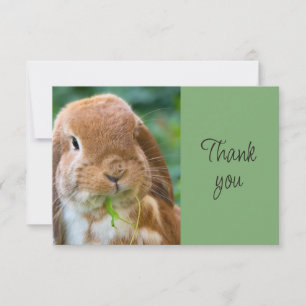Fun Cute  Bunny Rabbit Pet Animal Thank You Card