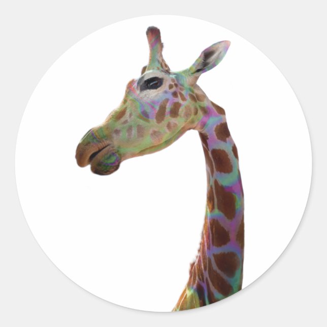 Fun cute colourful Giraffe    Classic Round Sticker (Front)