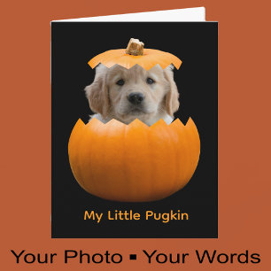 Fun Cute Personalised Halloween Pumpkin Dog Photo Card