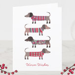 Fun Dachshund Dog Holiday Card<br><div class="desc">Adorable little Dachshund,  Wiener or Sausage Dogs in cosy winter knitwear.  Change the greeting on the front and inside and also the names to personalise.  Original art by Nic Squirrell.</div>