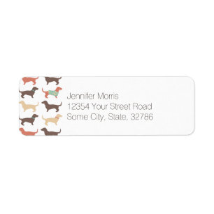 Fun Dachshund Dog Pattern