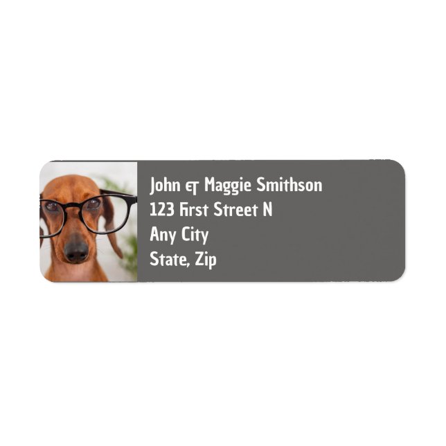 Fun Dachshund Dog with Glasses Pet (Front)