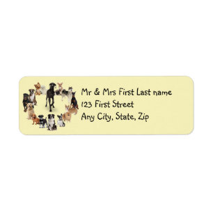 Fun Dog Breed Pet Animals Dog